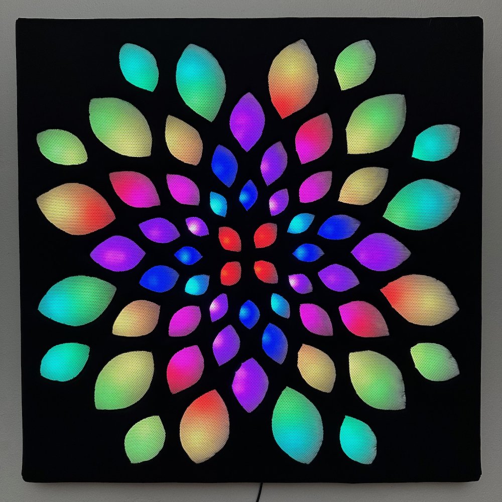Enlighted Lotus