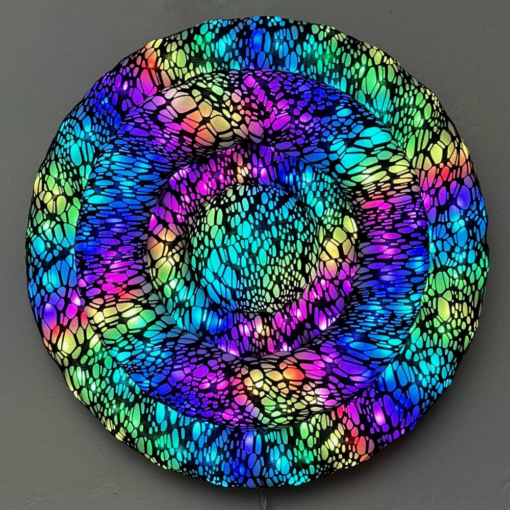 Enlighted Toroid 1