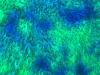 aqua_detail.jpg