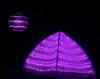 ball_and_pod_purple.jpg