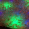 blue_green_ribbon_detail.jpg