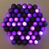 dh_purple_spots.jpg