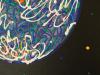 earth_detail.jpg