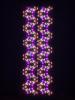 mega_dna1_IMG_4088.jpg