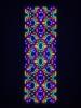 mega_eyes2_IMG_4085.jpg