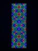 mega_stained1_IMG_4071.jpg