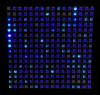 mini_washer_4.6mb.gif