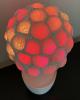 spherical_plantIMG_7761.jpeg