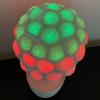 spherical_plantIMG_7764.jpeg