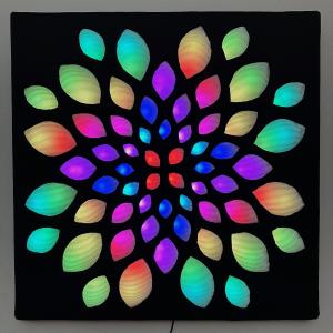 Enlighted Lotus