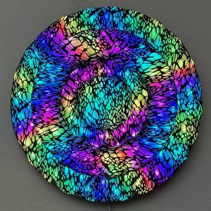 Enlighted Toroid 1