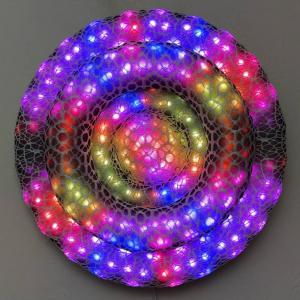 Enlighted Toroid 2